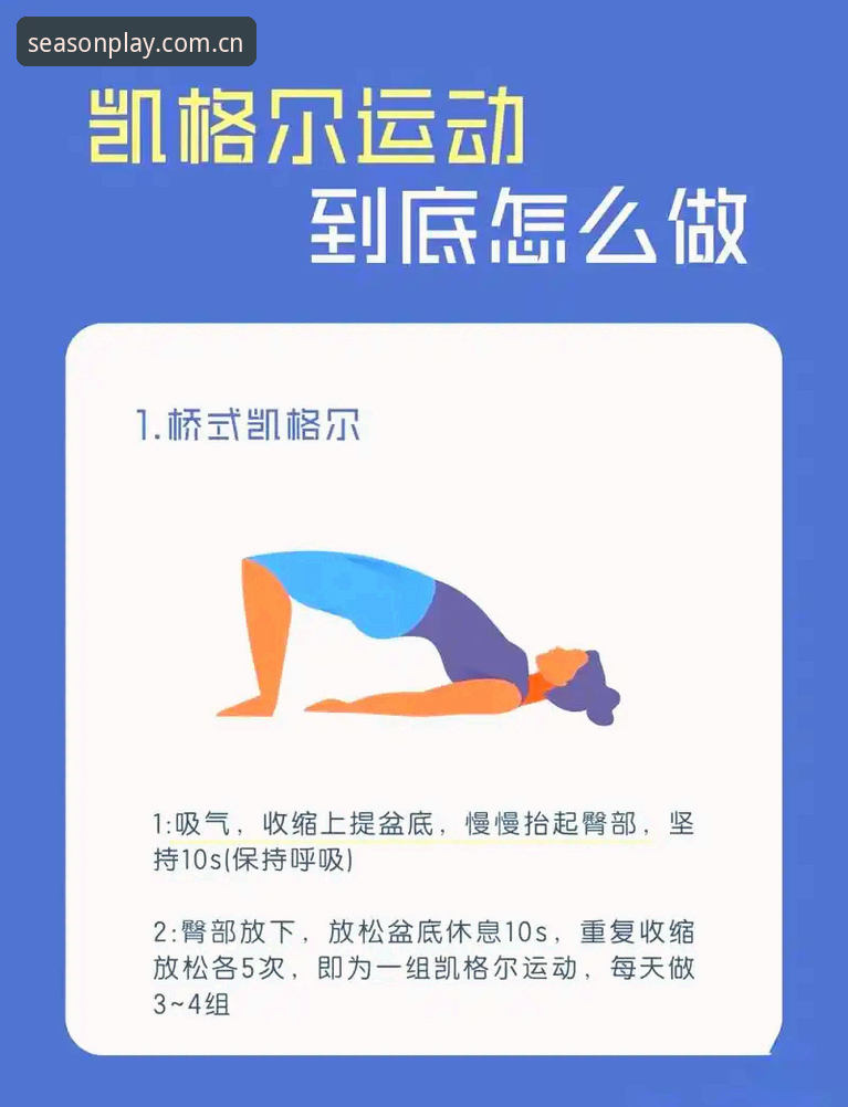 四季体育健身指南 四季体育平台健身管理功能全面解析:从入门到精通的实用指南