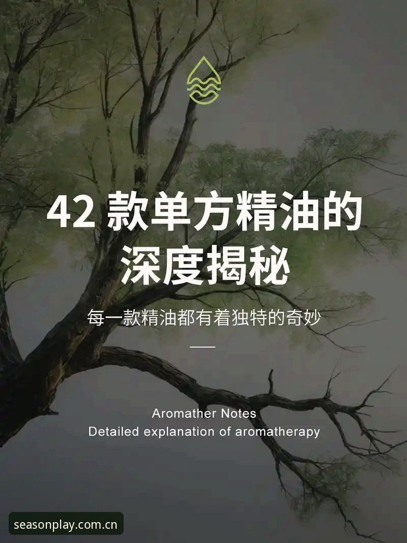 四季体育官网下载地址 深度揭秘:四季体育平台官网下载地址背后的专业服务体系