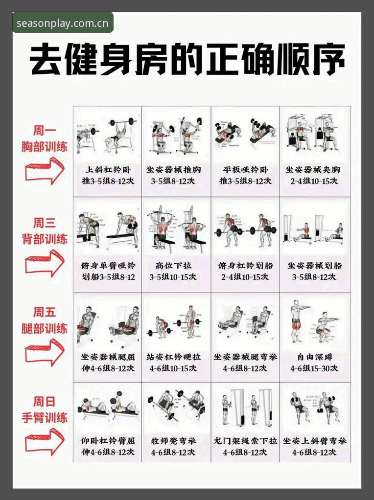 四季体育健身指南使用技巧 资深用户张磊的四季体育健身指南使用技巧全揭秘